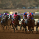 Illustration for article titled Massachusetts Accidentally Bans, Hastily Unbans Horse Racing In One Week